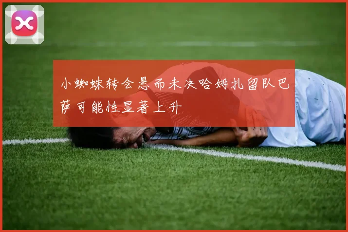小蜘蛛转会悬而未决哈姆扎留队巴萨可能性显著上升