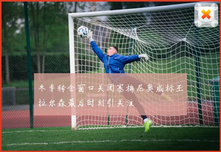 冬季转会窗口关闭塞梅尼奥成标王拉尔森最后时刻引关注